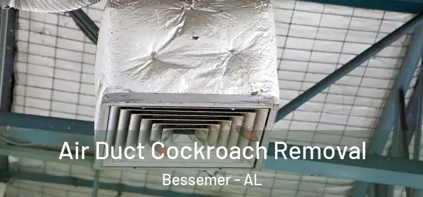 Air Duct Cockroach Removal Bessemer - AL