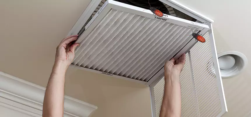 Preventive Cockroach-Proofing for Ducts in Bessemer
