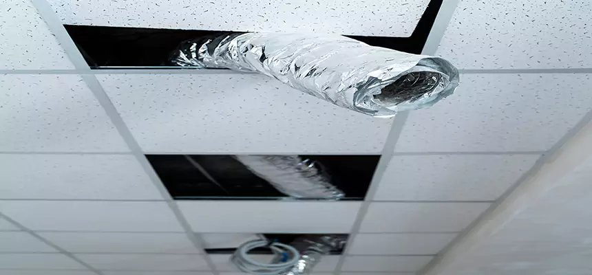 Our Air Duct Pet Hair Removal Services in Bessemer, AL