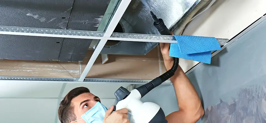 Our Air Duct Rodent Removal Services in Bessemer, AL