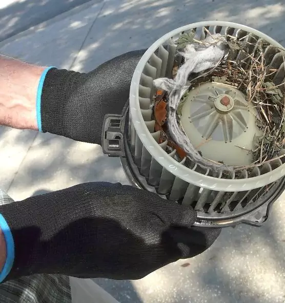 About Air Duct Rat Removal in Bessemer, AL