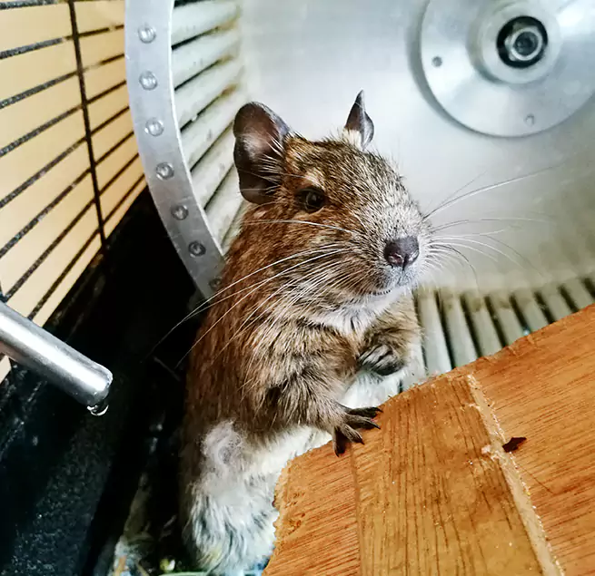 Why Homeowners & Businesses Trust Us Bessemer, AL?